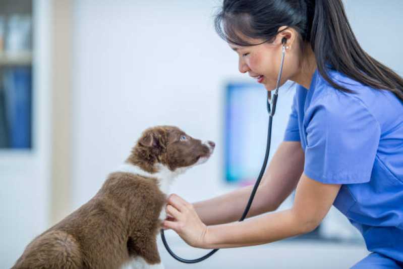 Cardiologista de Animais Telefone Sobradinho - Cardiologista de Cachorro