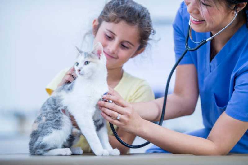 Cardiologista de Cães e Gatos Telefone Asa Norte - Cardiologista Animal