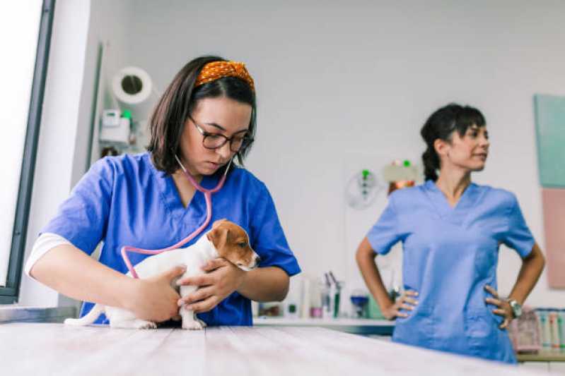 Clínica Veterinária Animal Contato Lago Sul - Hospital Veterinário