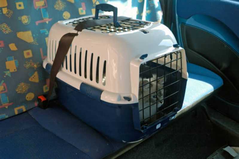 Clínica Veterinária para Cães e Gatos Asa Norte - Hospital Veterinário