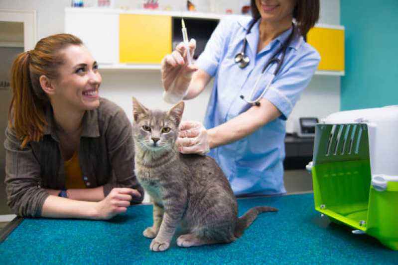 Consulta de Nefrologia para Pet Guara - Consulta de Cardiologia para Pet