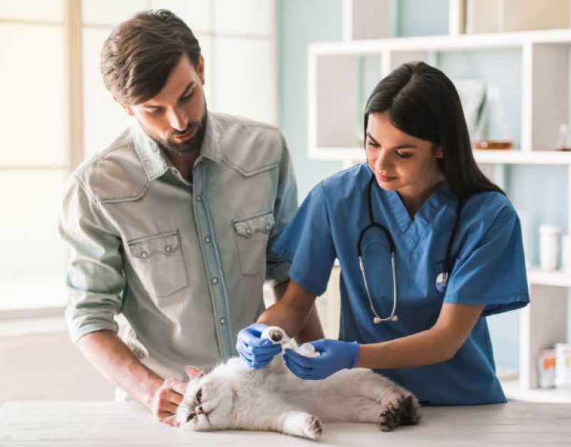 Contato de Clínica Veterinária para Cães e Gatos Sudoeste - Hospital Veterinário