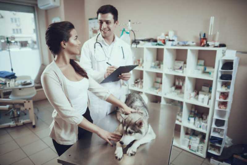 Telefone de Clínica Veterinária Mais Próximo de Mim Lago Norte - Clínica Veterinária para Cães e Gatos