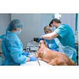 cirurgia ortopédica veterinária valores Octogonal