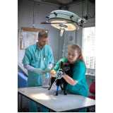cirurgia para gatos Sobradinho