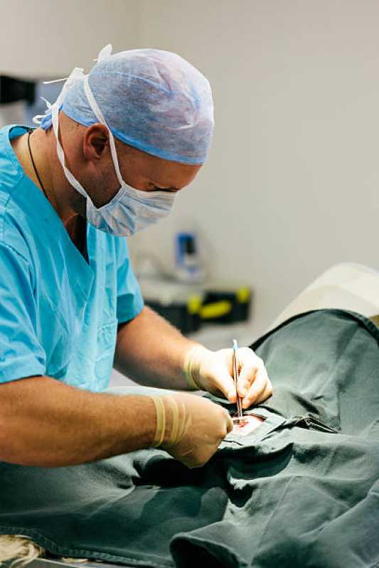 Valor de Cirurgia de Castração de Cachorro Octogonal - Cirurgia em Animais Brasília