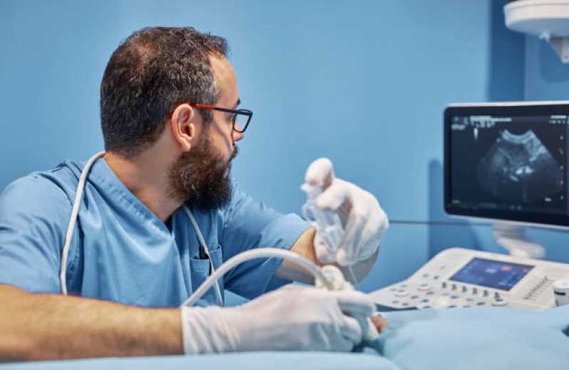 Valor de Cirurgia Ortopédica Veterinária Brasília - Cirurgia de Castração para Gatos